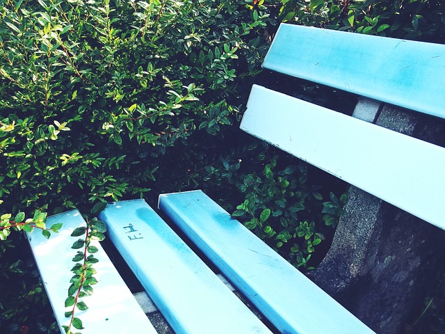 媒体广告中 媒体广告中