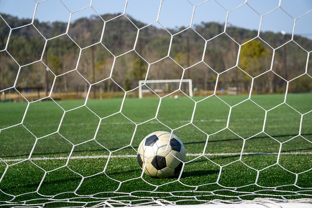 鹕的比赛中 鹕的比赛中