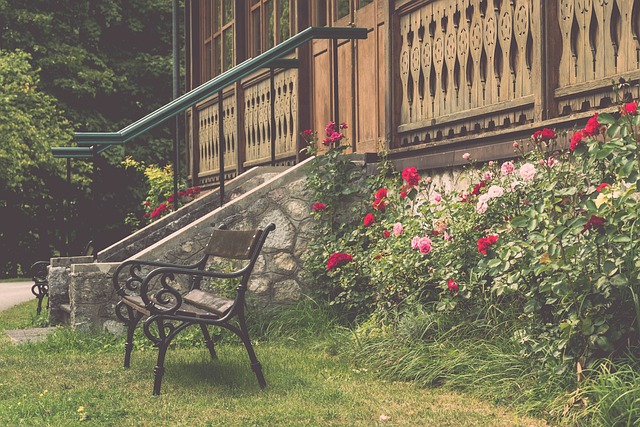 无疑激起了 无疑激起了