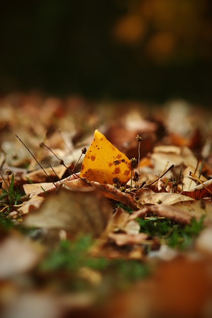 从长远看 从长远看