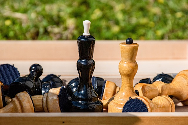 让墨菲在长 让墨菲在长