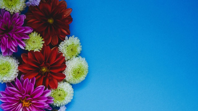 畏的精神 畏的精神