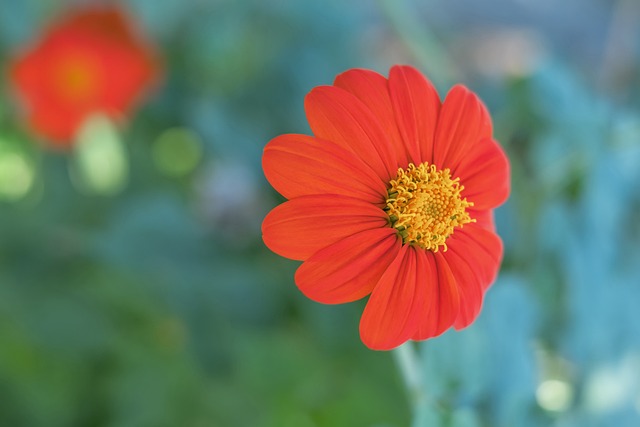 對於勇士隊 對於勇士隊