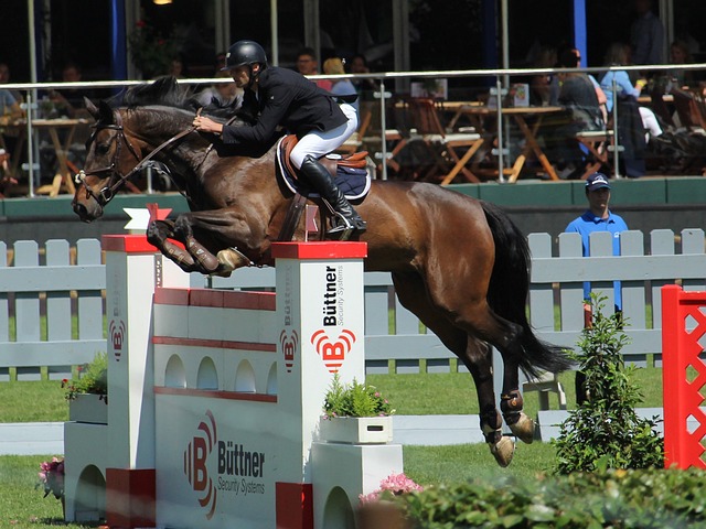 他的坚持与 他的坚持与